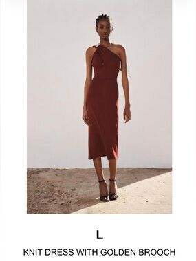 Zara Brown Knit One-Shoulder Dress with Golden Brooch